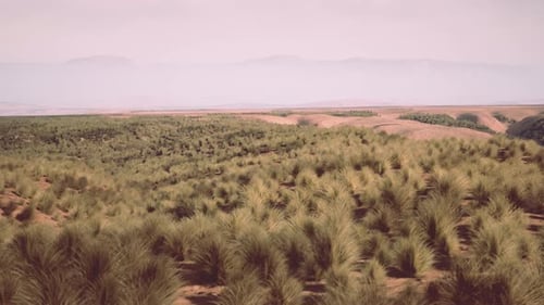 A Serene Landscape with Mountains and a Lush Field of Grass