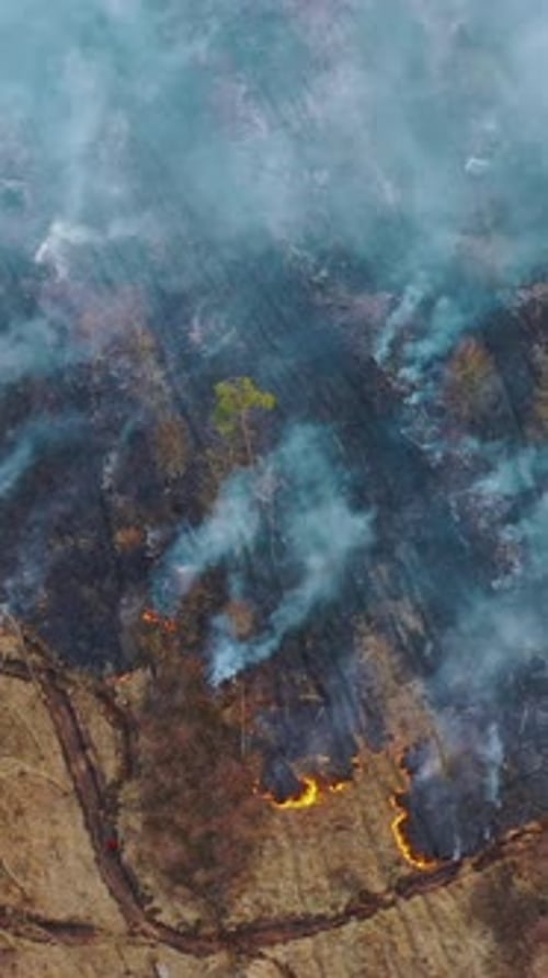 Aerial View Spring Dry Grass Burns During Drought Hot Weather Bush Fire And Smoke In Deforestation