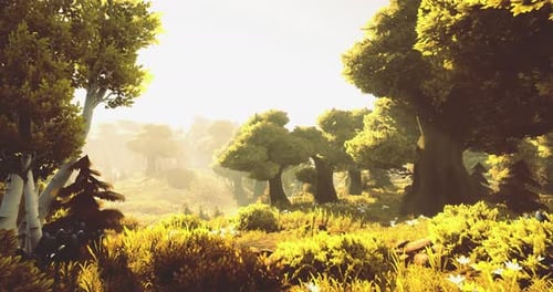 Golden Sunlight Filters Through Lush Trees in a Serene Forest Landscape