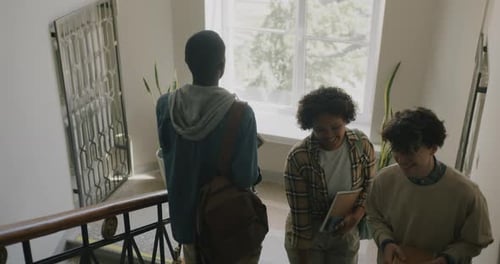 Diverse Group of Students Walking Up and Down Stairs in University Building Talking Enjoying
