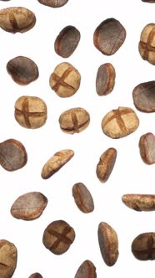 Vertical Round Rye Bread Floating Loop on White