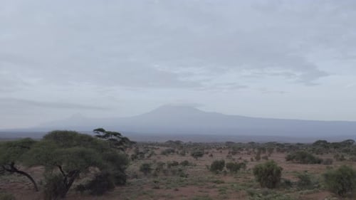 Mt Kilimanjaro
