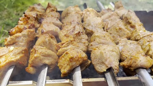 Meat Skewers Cooking on a Smoky Charcoal Grill