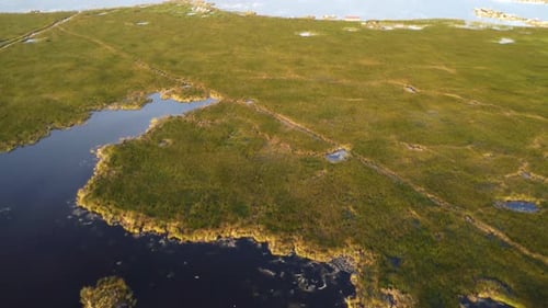 Lake Titicaca fully grown with reeds and floating islands in the background. Peru