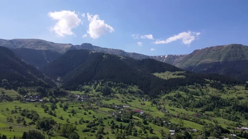 Mountain Village Among Pine Forests
