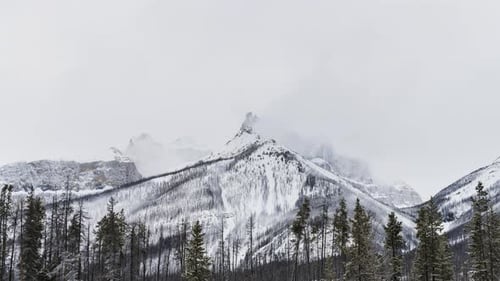 Timelapse of clouds over snowy mountain peak with trees in foreground