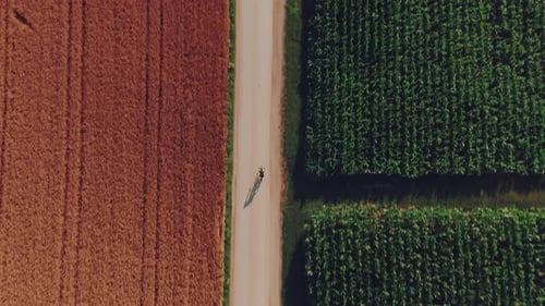 Top-down drone shot of fit female road cyclist training on a bicycle between fields.
