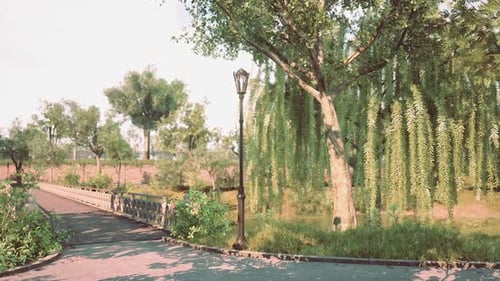 A Serene Pathway Lined with Trees and a Lamp Post in a Peaceful Park at Midday