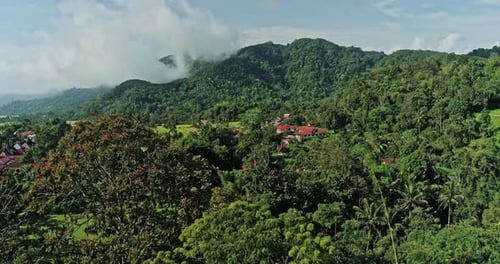 Vista aérea de árvores com colinas ao fundo