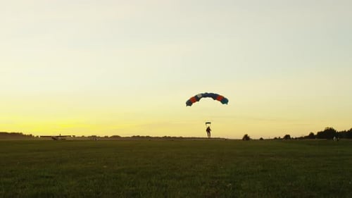 Skydivers are Landing at Sunset