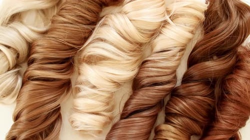 Blond Brown Shiny Wavy Hair on White Background Shiny Woman Hair Strand Curl Hair Care and Beauty
