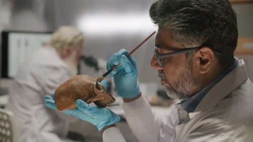 Experienced Scientist Cleaning Skull with Brush during Archaeological Research