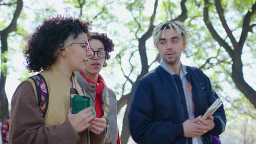 Friends Talking on a Walk after College