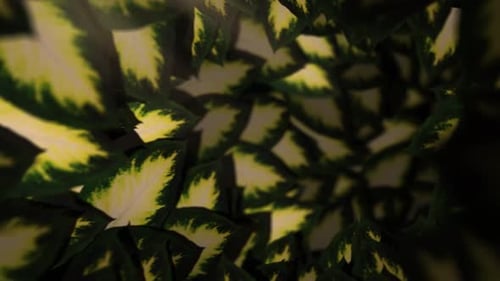 Enchanted Foliage Tunnel – Looping Background