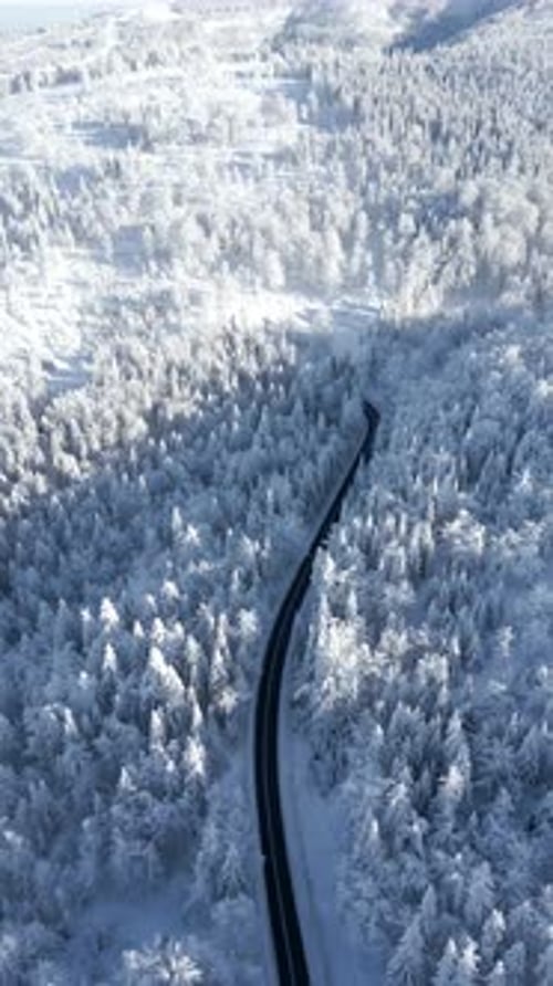 Scenic Road Through a Snowy Winter Mountain Wonderland