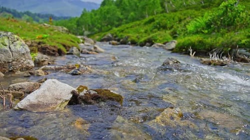 Summer Landscape in the Mountains The Flow of a Mountain River