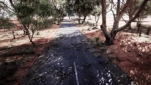 A Scenic Road Winding Through a Forested Landscape
