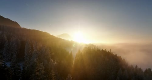Cinematic Aerial View Drone Shot Of Snow Winter Landscape