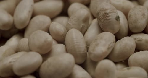Macro View of Beige Beans Piled Together