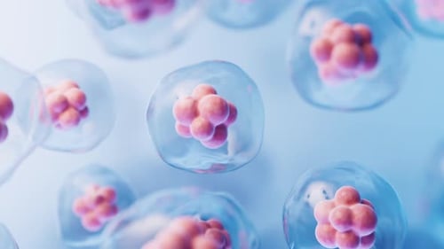 Medical Science Animation of Dividing Biological Cells