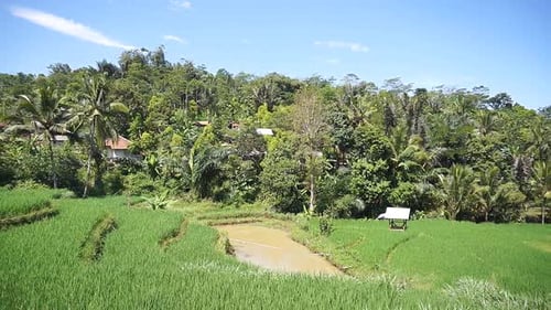 beautiful fields under mountains and green trees in countryside with blue sky during day time