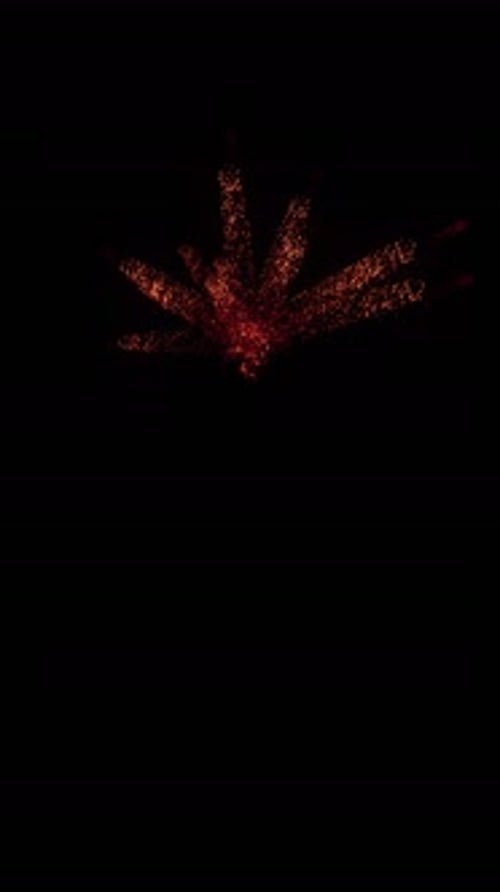 Aerial Sparks Explosion (8)