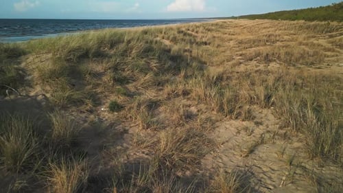 Enjoy Aerial Footage of Coastal Dunes By the Sea in Real Time with a Drone Showcasing Serene Nature
