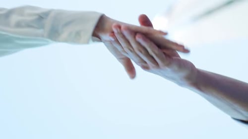 Business Hands Clasp in Agreement