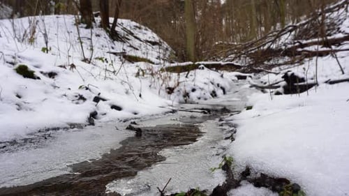 flowing creek with icy shores in a snowy wood in winter, truck left