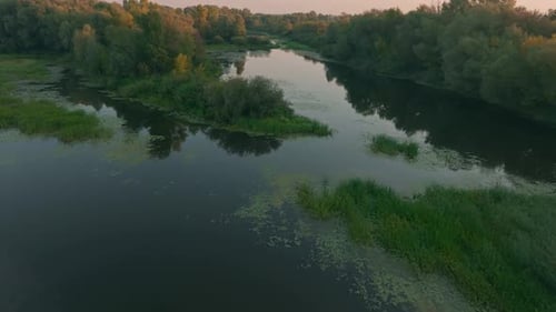 River Forest Sunset Dawn Sun Jungle Nature Lake Water Tree