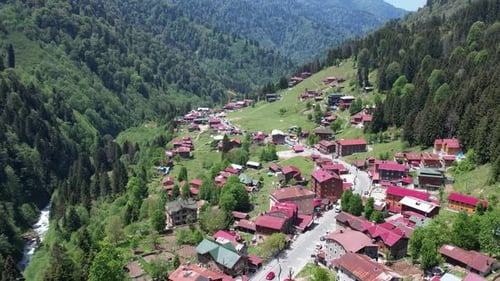 Aerial View Of The Chalets And Green Trees In Ayder Plateau