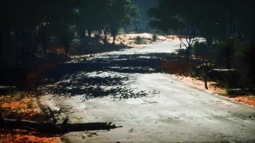 Camino selvático en el parque Baluran en Indonesia