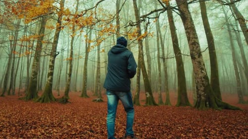 Old Man Walks in a Foggy Autumn Mountain and Picks Yellow Leaves From a Tree