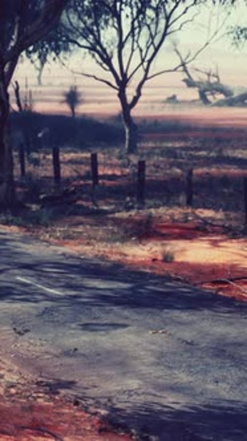 A Scenic Dirt Road Winding Through a Picturesque Field