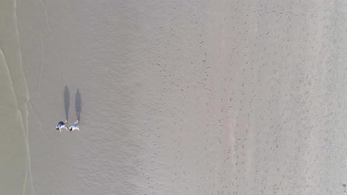 People Walking On Sandy Seaside Of North Sea At Belgian Coast During Sunny Summertime. - Aerial Topd