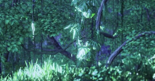 Lush Green Foliage in a Mystical Forest Illuminated By Soft Light