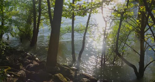 Motion video of sunlight reflecting on surface of ripples on Lyon river in Feyssine Park, France.