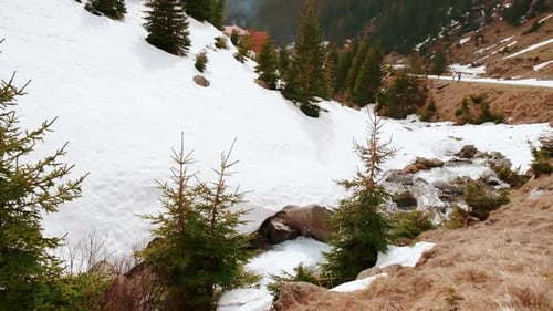 Snowy Mountain Valley with Flowing Stream and Evergreens