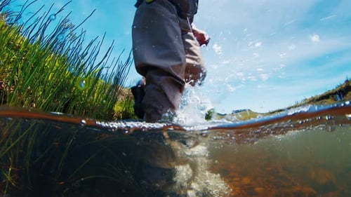 Angler Walks in the River in Wading Boots