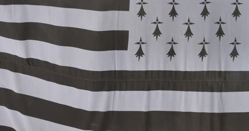 The brittany flag waving in the wind, France