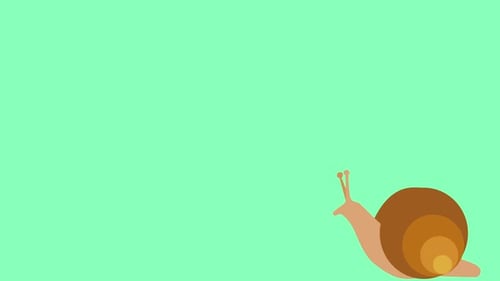 Cute hand drawn snail in a cartoon style