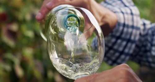 Nahaufnahme eines mit Weißwein gefüllten Glases vor grünem Hintergrund.
M