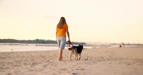 Young Woman Enjoying Evening Walk with Her Pet Dog on the Beach in Summer