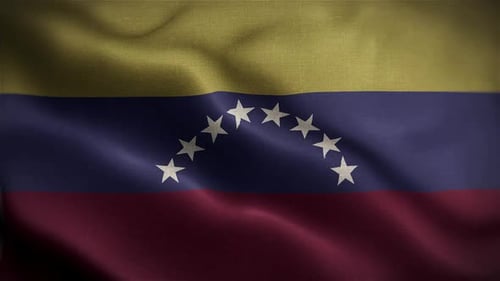 Realistic Venezuela Flag Waving Seamless Loop Animation