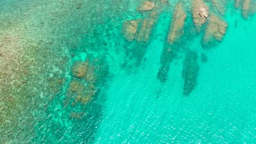 Tropical Sea with Turquoise Water