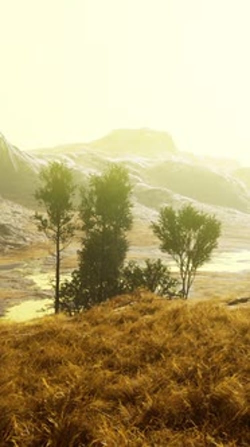 Golden Mountain Landscape with Swaying Grass and Trees