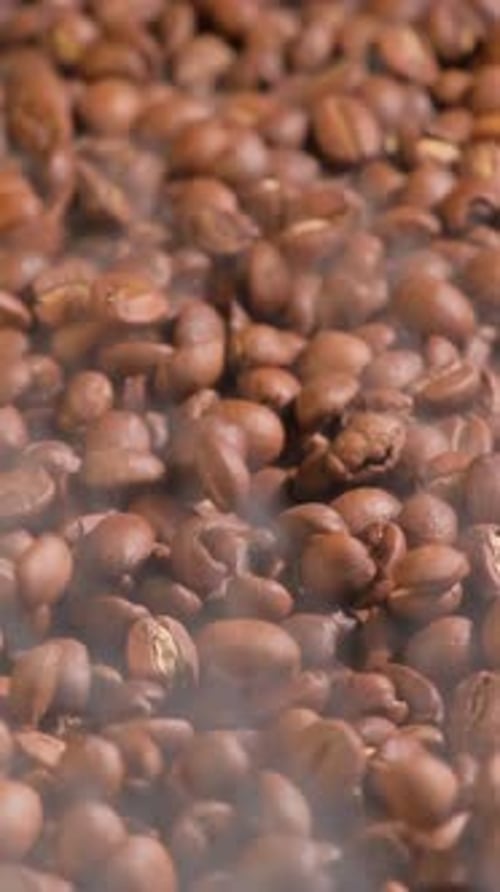 Vertical slow motion of roasted coffee beans falling. Organic coffee seeds.