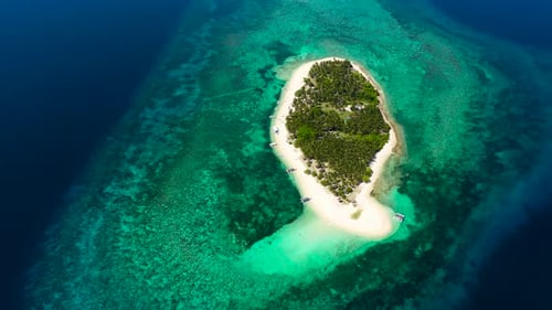 The Island of White Sand on a Large Atoll View From Above Tropical Island with Palm Trees Seascape