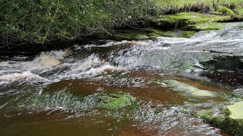 Langsam fließender Waldbach-Wasserfall, ruhige Naturszene mit ruhigem Pool darunter, üppiges Grün