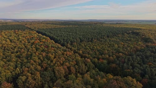 Aerial view of a vast forest showing the changing colors of autumn. The trees display a mix of